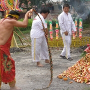 Nine Emperor Gods Festival 2008<br>2008å¹´ä¹çš‡å¤§å¸åƒç§‹åœ£è¯žèŠ‚æ—¥